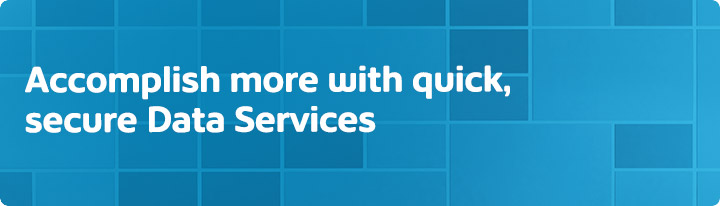 Data Services