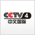 CCTV4_logo