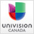 TLNespanol_logo